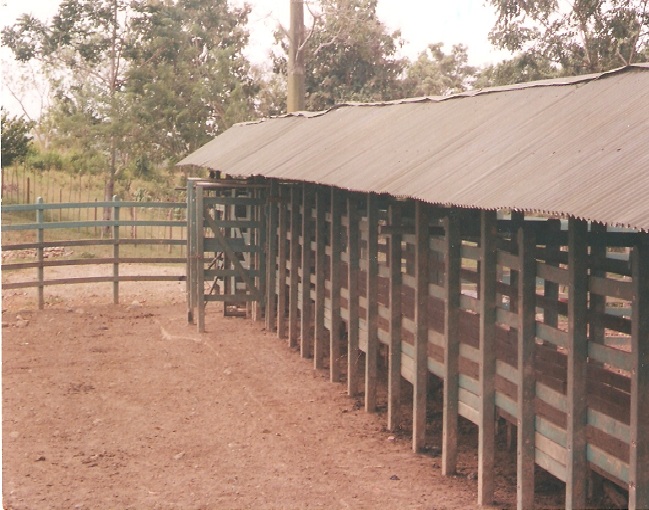 corral madera plástica calceta manga maderplast brete para ganado corrales embudos calcetas embudo calceta bretes brete apretadero instalaciones mangas wpc plastimadera madera plástico 001 corral madera plástica calceta manga maderplast brete para ganado corrales embudos calcetas embudo calceta bretes brete apretadero instalaciones mangascorral madera plástica calceta manga maderplast brete para ganado corrales embudos calcetas embudo calceta bretes brete apretadero instalaciones mangas wpc plastimadera madera plástico 001 wpc plastimadera madera plástico 001